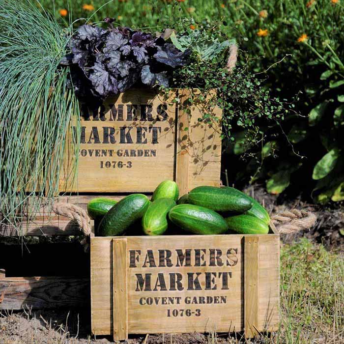 Wooden Box Farmers Market Diffe Sizes Beautiful Home Storage By Piia Wooden Box Farmers Market Diffe, Farmers Market Storage