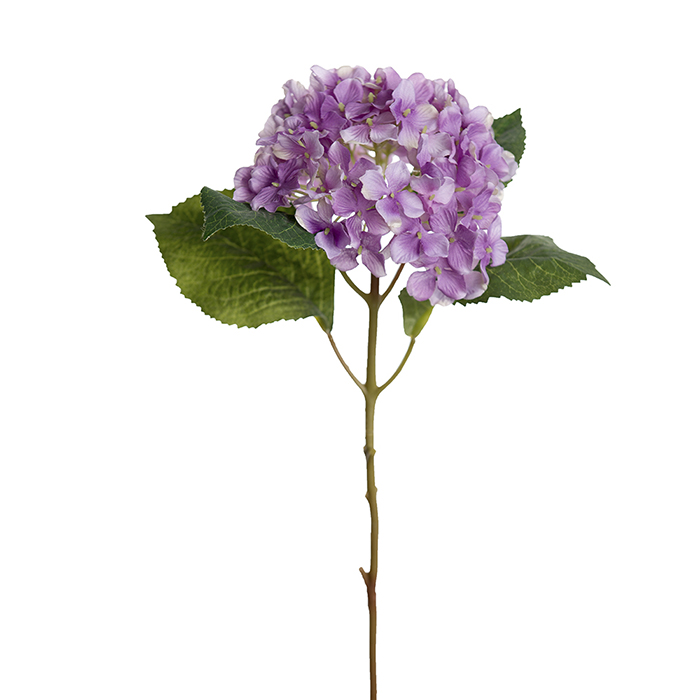 Hortensiaoksa violetti 40 cm