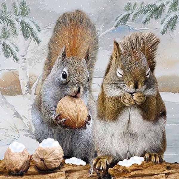 Servetti Oravat herkuttelemassa
