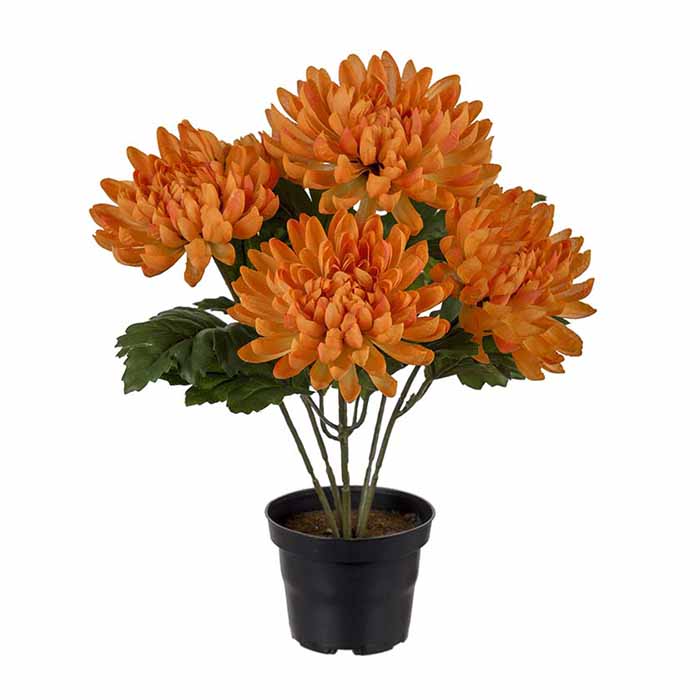 Krysanteemi oranssi 30 cm
