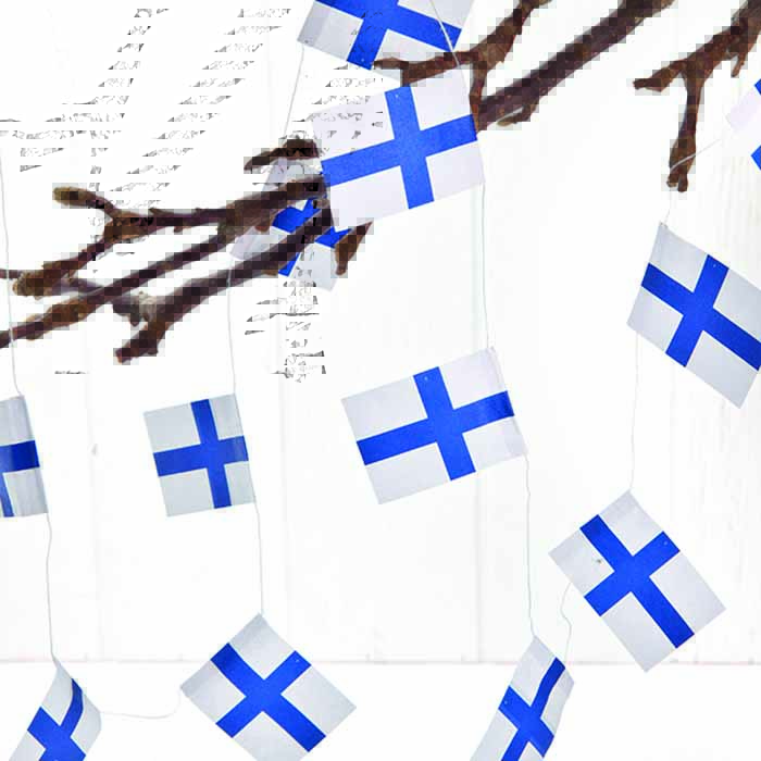 Suomen lippu -köynnös 4 m