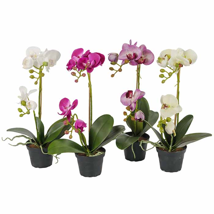 Orkidea 45 cm, eri värejä