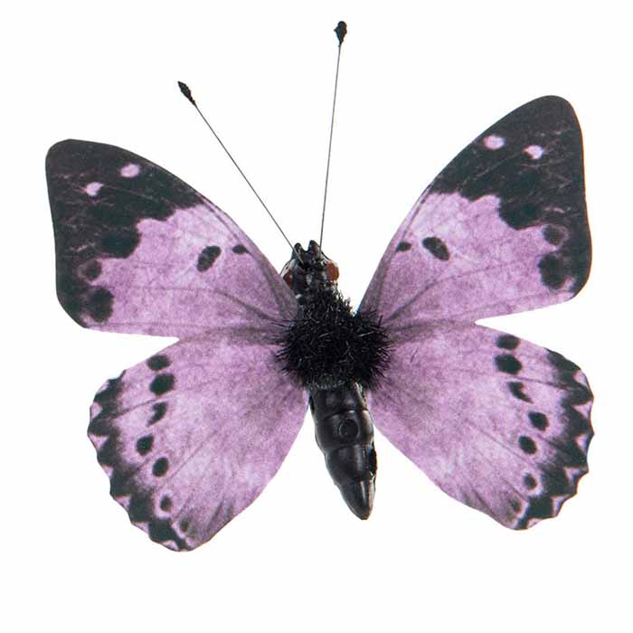 Perhoskoriste klipsillä violetti
