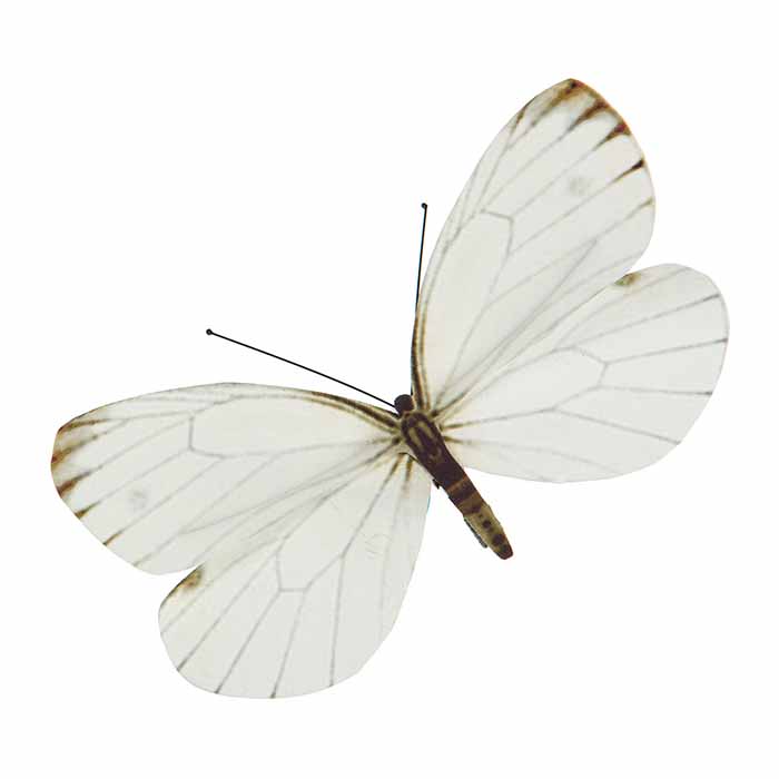 Perhoskoriste klipsillä valkoinen