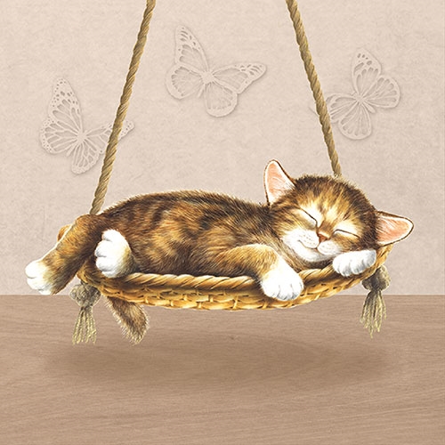 Servetti Dreaming Cat