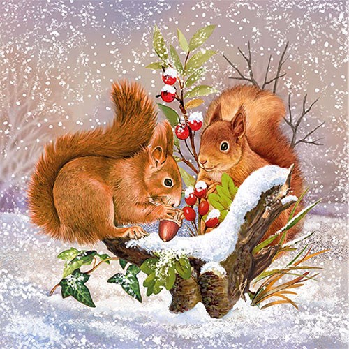 Servetti Oravat talvivarastolla