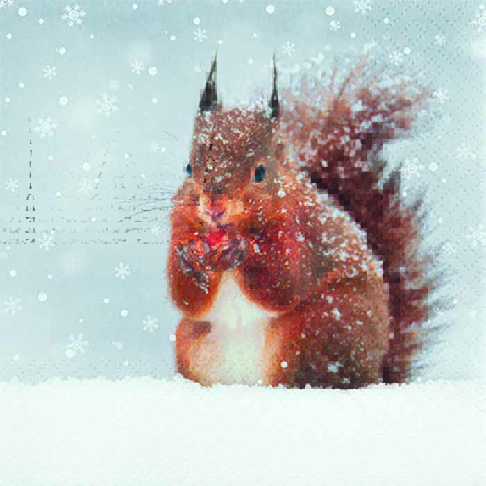 Servetti Orava lumessa